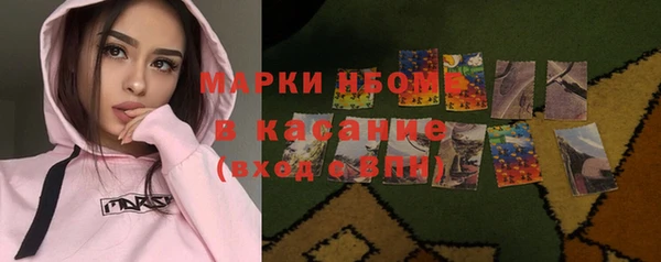 индика Балахна