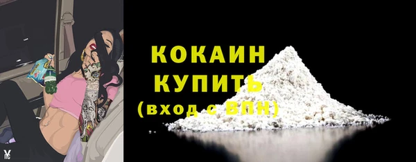 индика Балахна