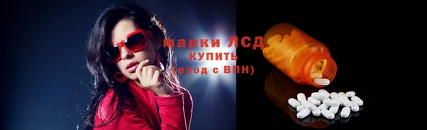 индика Балахна