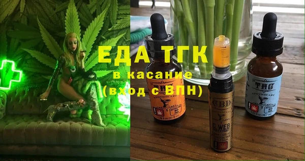 индика Балахна