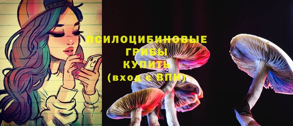 индика Балахна