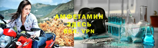 индика Балахна
