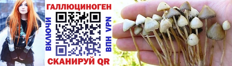 Галлюциногенные грибы Cubensis  цена наркотик  Зеленоградск 